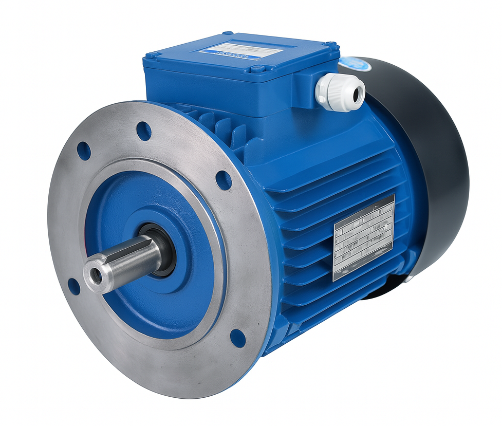 Flange Mounted Motor